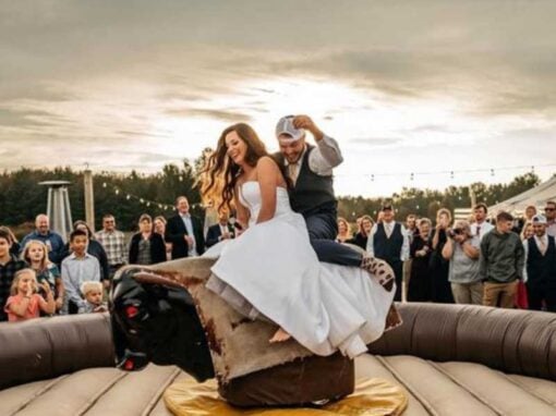 Mechanical Bull