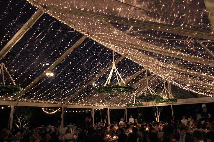 Canopy Fairy Lights