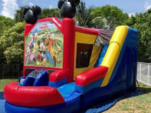 Mickey Bounce