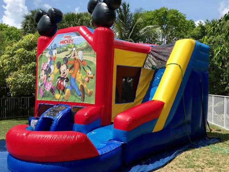 Mickey Bounce