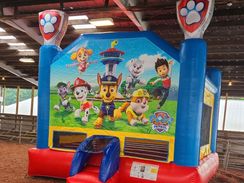 Paw Patrol Bounce